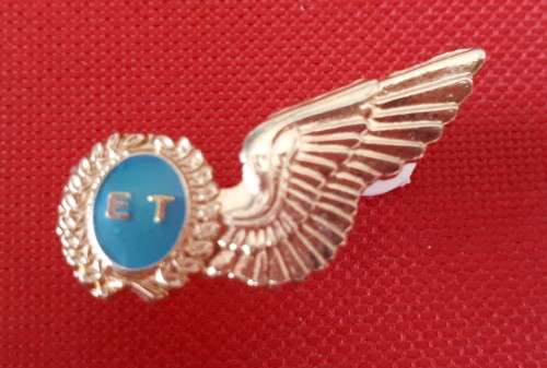 SAAF - ET - GOLD (MESS DRESS) HALF WING - PINS INTACT
