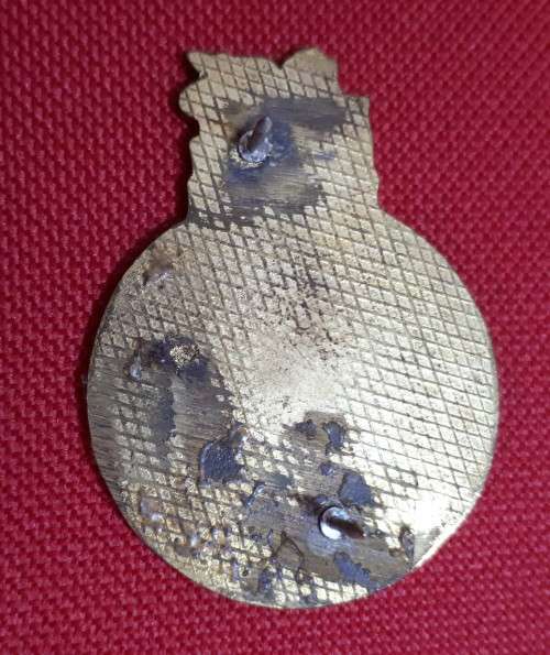 SA NAVY  - SHIPS CREST BADGE 45 X 35 MM -  PINS INTACT