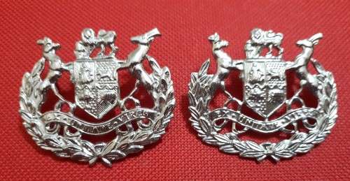 SADF - WO1 METAL RANK BADGE SET - PINS INTACT