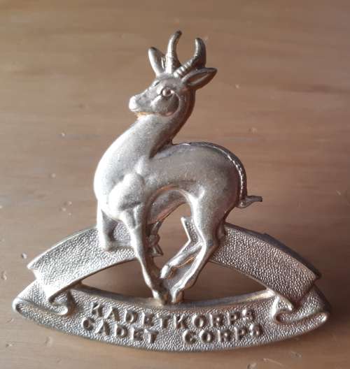 SADF - (LARGE) GILDING SCHOOL CADETS CAP/BERET BADGE - SCREWS INTACT