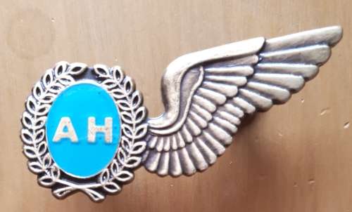 SAAF - FULL SIZE METAL AH HALF WING - PINS INTACT