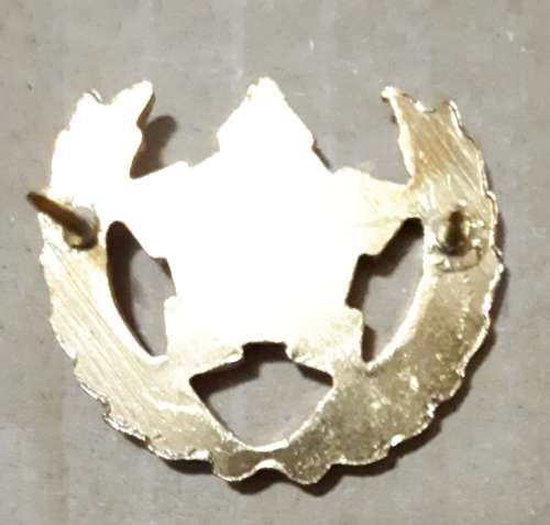 SADF - ARMY 5 YEAR VOLUNTEER SERVICE - PINS INTACT