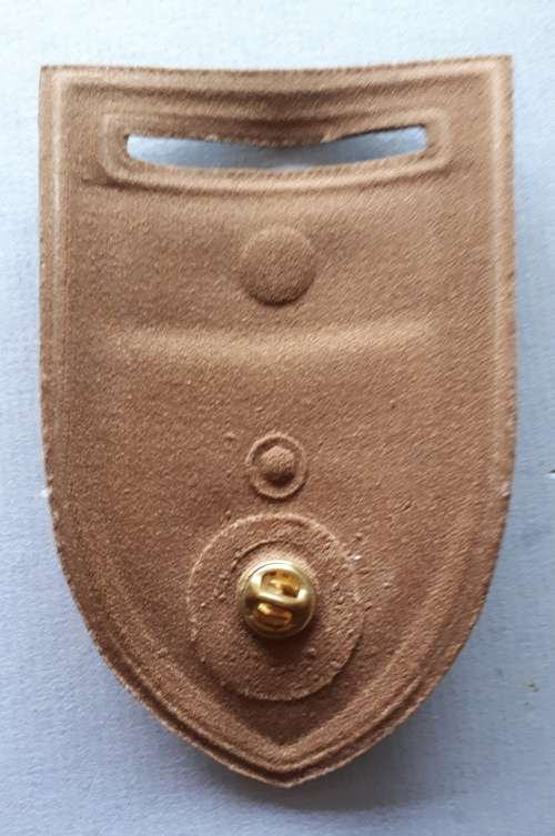 SADF -- GROUP 22 HQ (KIMBERLEY) WITH NORTHERN CAPE COMMAND BAR. -- PIN INTACT