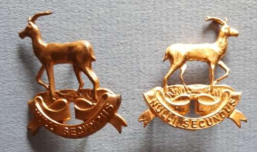 SADF  - RETORIA REGT GILDING COLLAR BADGES (1 WITH HORISONTAL PINS AND ONE VERTICAL)