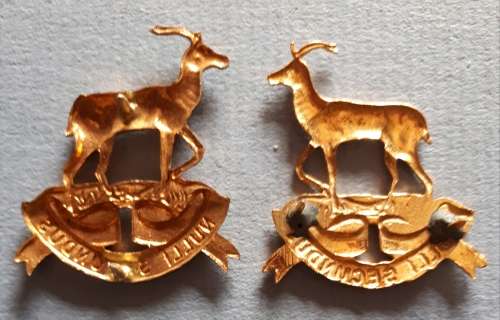 SADF  - RETORIA REGT GILDING COLLAR BADGES (1 WITH HORISONTAL PINS AND ONE VERTICAL)