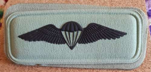SADF / SANDF - BASIC PARA WING -- PINS INTACT