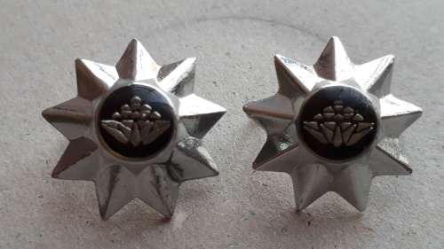 SADF / SANDF  - ARMY 9 POINT STAR (PROTEA) RANK PIPS PAIR - SMALL SIZE -- PINS INTACT