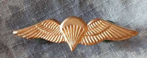 SADF / SANDF - MESS DRESS BASIC PARA WING -- PINS INTACT