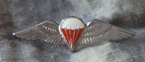 SADF / SANDF - FULL SIZE FREEFALL PARA WING -- PINS INTACT