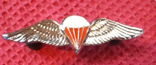 SADF FREEFALL PARA WING (FULL SIZE ) - PINS INTACT