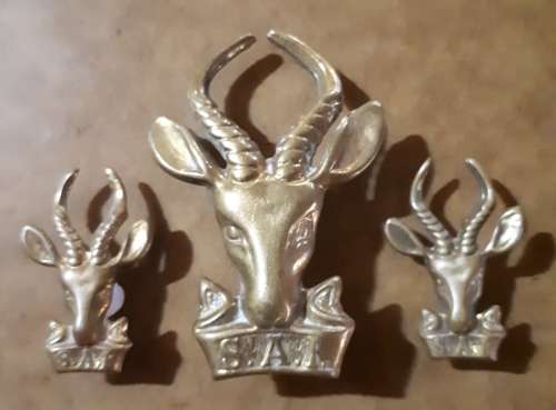 SADF -- GILDING INFANTRY CAP AND COLLAR  BADGES SET - PINS AND SCREWS INTACT