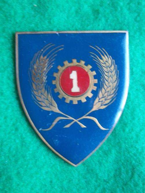 SADF metal shoulder flash - 1 maint unit - no pins