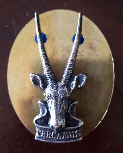 SWATF -  HQ CAP BADGE (LARGER TYPE) - SCREWS / PINS INTACT