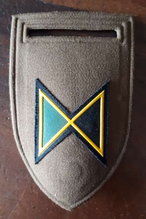 SADF INFANTRY ECHO COY FLASH - PIN INTACT