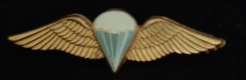 SADF / SANDF - BASIC PARA WING PINS INTACT (FULL SIZE)