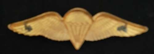 SADF / SANDF - BASIC PARA WING PINS INTACT (FULL SIZE)