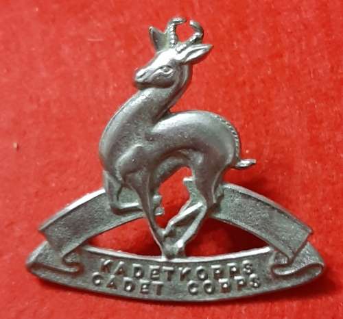 SADF SCHOOL CADETS CROME CAP BADGE  - SCREWS INTACT