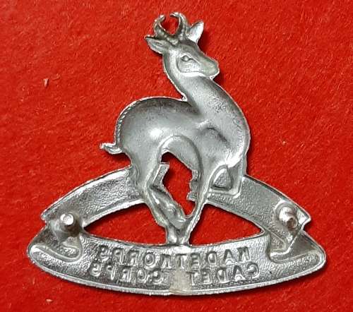 SADF SCHOOL CADETS CROME CAP BADGE  - SCREWS INTACT