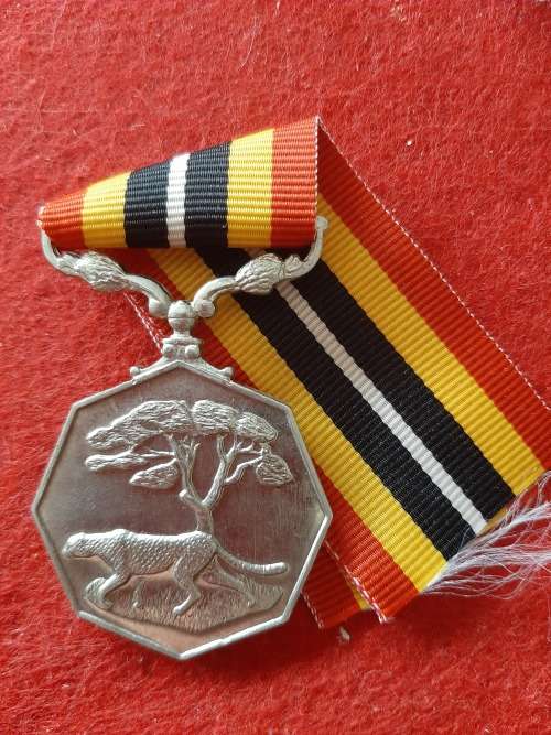 SADF - FULL SIZE SOUTHERN AFRICA MEDAL (NUMBERED)