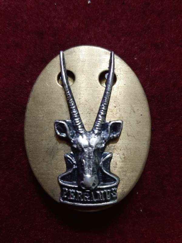 SWATF (SMALLER SIZE) HQ BERET BADGE - PINS / SCREW  INTACT