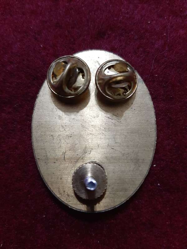 SWATF (SMALLER SIZE) HQ BERET BADGE - PINS / SCREW  INTACT