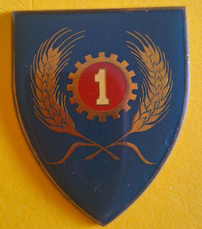 SADF - 1 MAINT UNIT SHOULDER FLASH ## NO PINS ##