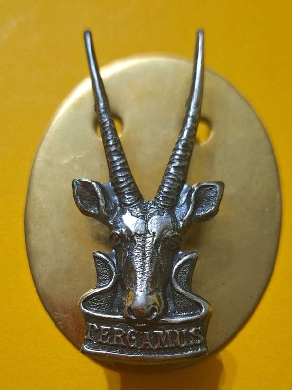 SWATF -  HQ CAP BADGE (LARGER TYPE) - SCREWS / PINS INTACT