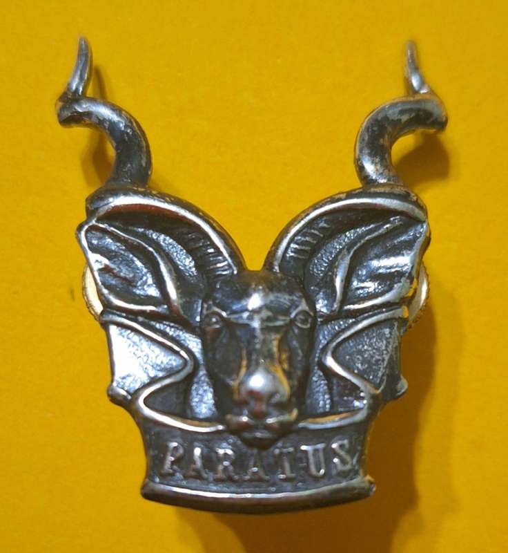 SWATF - AREA FORCE CAP BADGE - SCREWS INTACT