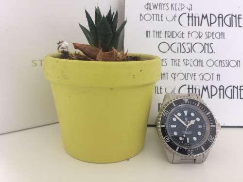 Steinhart Ocean Forty Four