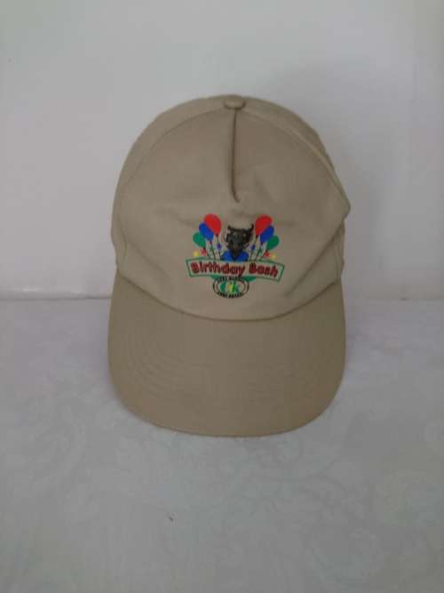 Caps branded Collection of 14