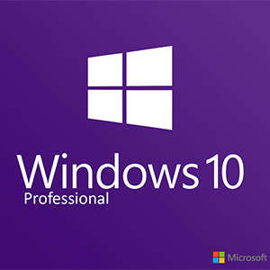 Windows 10 Professional (32/64Bit)