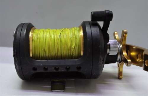 DAIWA SALTIST BG-30H