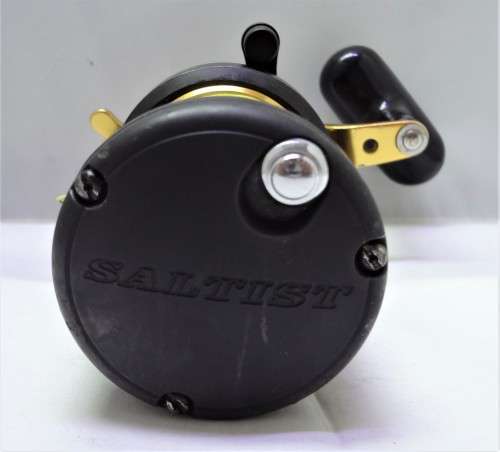 DAIWA SALTIST BG-30H