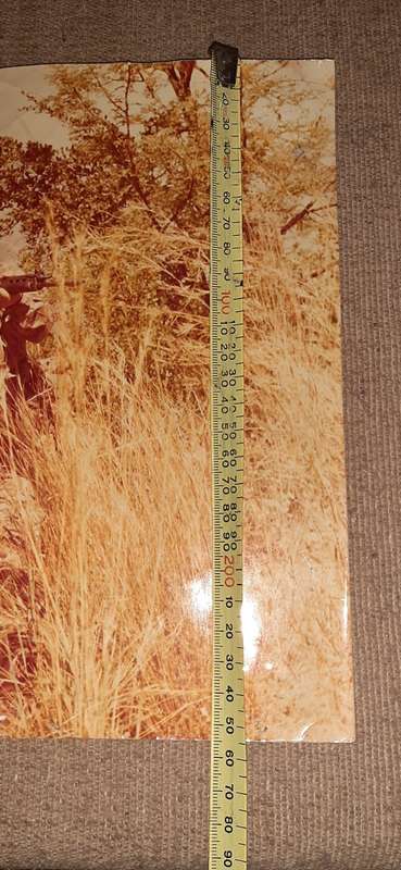 ** ORIGINAL- Large : Border War S.A.P Operational Area Photo (40cm x 26cm).**