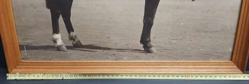 1930s Special Service Battalion (SSB) Mounted Officer Large Framed Photograph