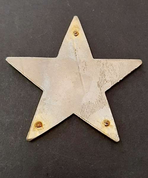 ** Pre-1994 Port Elizabeth Traffic Police/Emergency Service Metal Chest Flash (No Pins).**