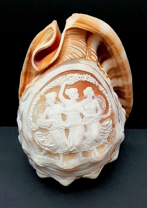 Art Nouveau Handcarved Cameo Scene Conch Shell (19cm x 12cm)
