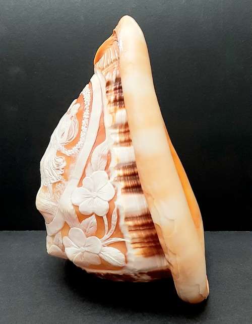 Art Nouveau Handcarved Cameo Scene Conch Shell (19cm x 12cm)