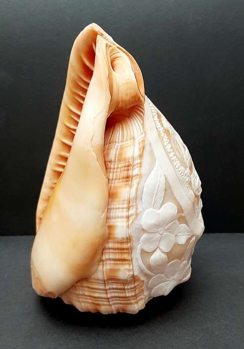 Art Nouveau Handcarved Cameo Scene Conch Shell (19cm x 12cm)