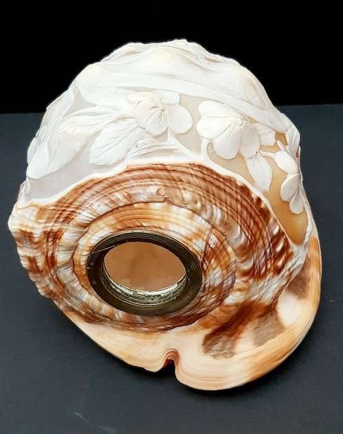 Art Nouveau Handcarved Cameo Scene Conch Shell (19cm x 12cm)