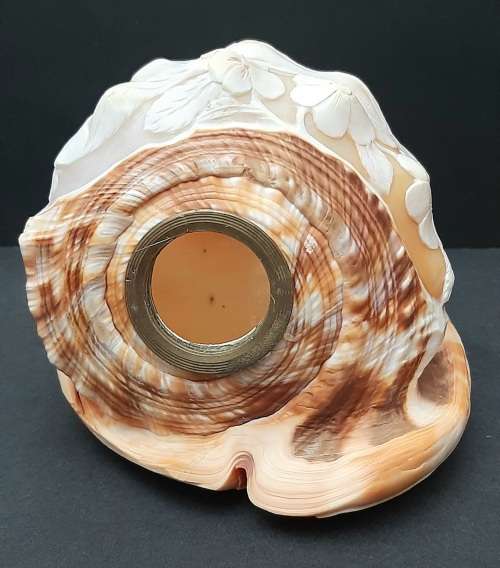 Art Nouveau Handcarved Cameo Scene Conch Shell (19cm x 12cm)