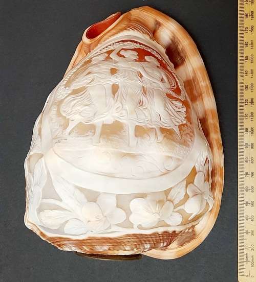 Art Nouveau Handcarved Cameo Scene Conch Shell (19cm x 12cm)