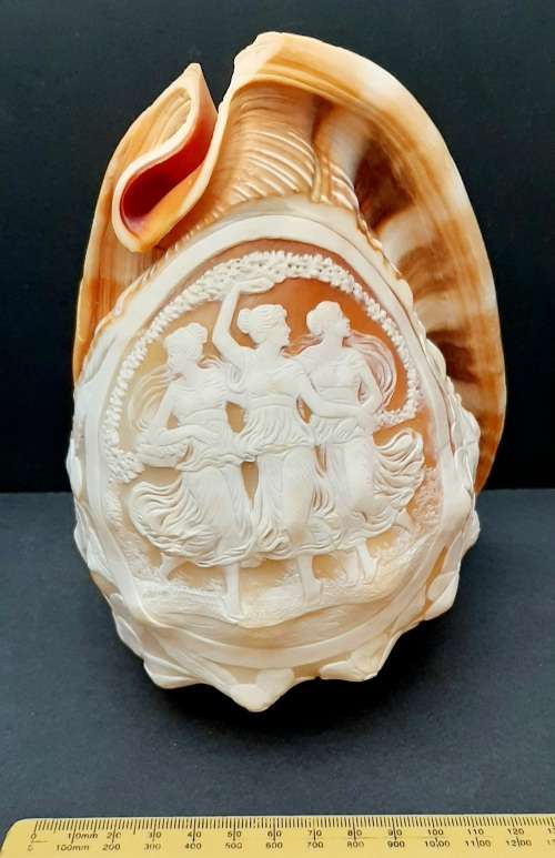 Art Nouveau Handcarved Cameo Scene Conch Shell (19cm x 12cm)