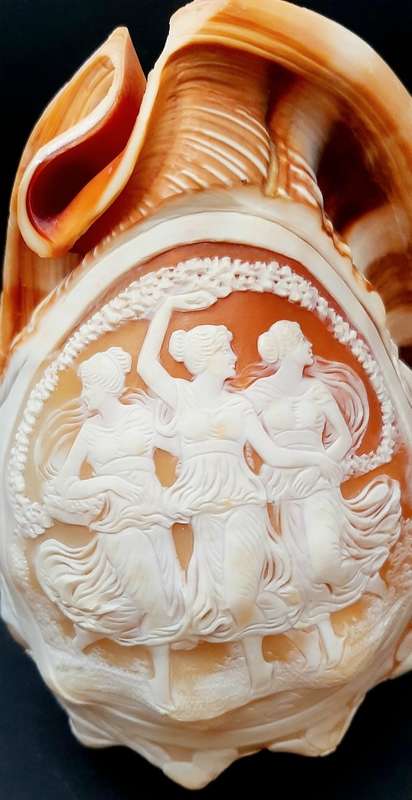 Art Nouveau Handcarved Cameo Scene Conch Shell (19cm x 12cm)