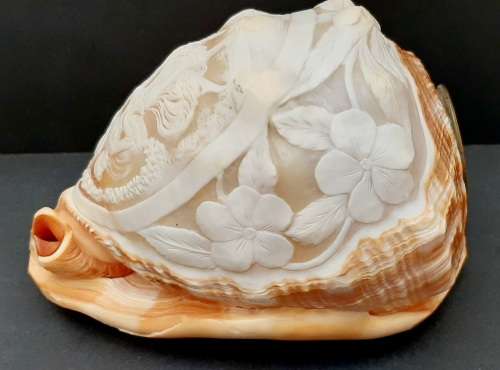 Art Nouveau Handcarved Cameo Scene Conch Shell (19cm x 12cm)