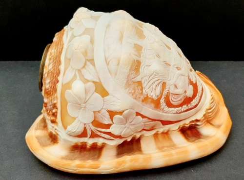 Art Nouveau Handcarved Cameo Scene Conch Shell (19cm x 12cm)