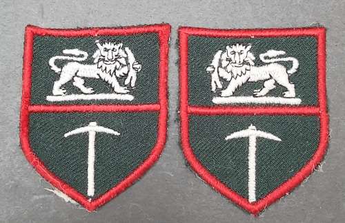 Rhodesian Bush War: Rhodesian Army Flash Insignia Pair #2