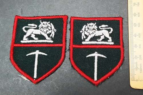 Rhodesian Bush War: Rhodesian Army Flash Insignia Pair #2