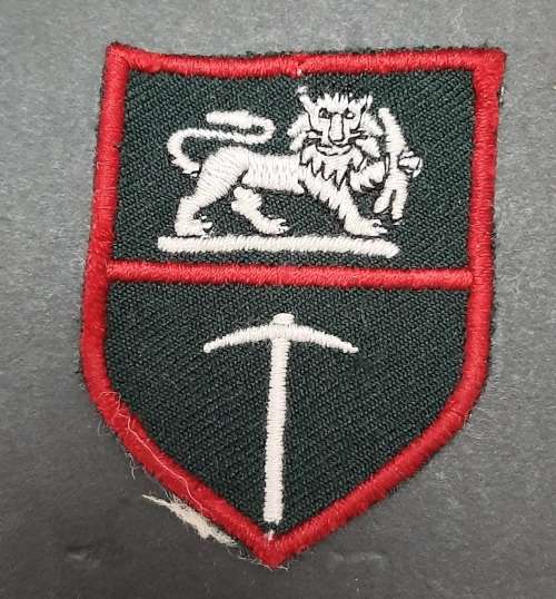 Rhodesian Bush War: Rhodesian Army Flash Insignia Pair #2