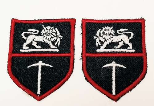 Rhodesian Bush War: Rhodesian Army Flash Insignia Pair #2